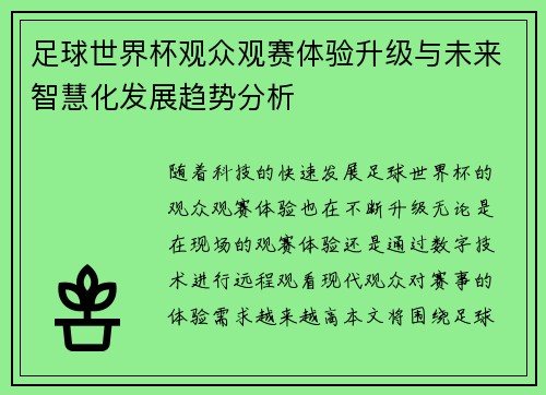 足球世界杯观众观赛体验升级与未来智慧化发展趋势分析