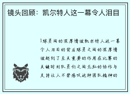 镜头回顾：凯尔特人这一幕令人泪目
