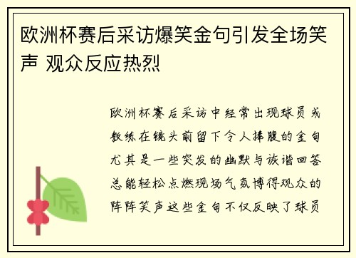 欧洲杯赛后采访爆笑金句引发全场笑声 观众反应热烈 欧洲杯赛后采访爆笑金句引发全场笑声 观众反应热烈